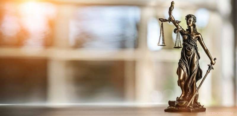 The Impact of Brain Scan Evidence on Criminal Sentencing: Benefits and Risks