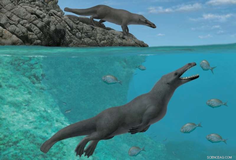 Newly Discovered Fossil Reveals Four‑Legged Whale Ancestor Roamed Land