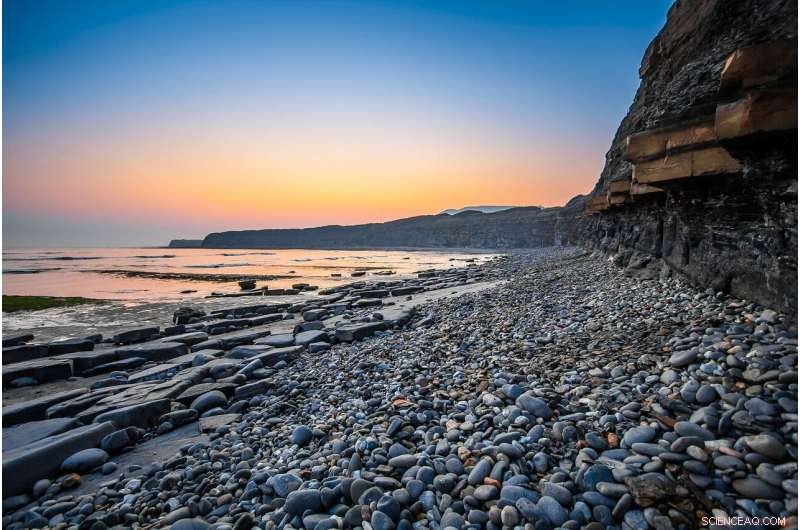 New 150‑Million‑Year‑Old Marine Crocodile Illuminates Crocodile Evolution