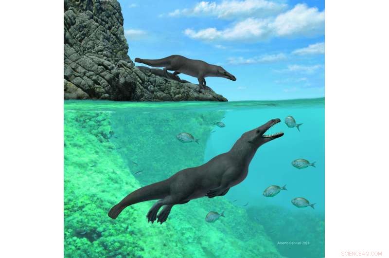 Peregocetus: Ancient Four-Legged Whale with Otter-Like Features Discovered on Peru s Coast