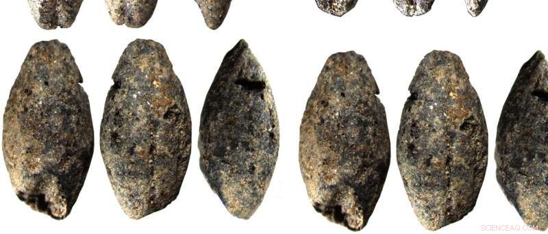 Finland s 5,000-Year-Old Barley Grain Sheds New Light on Stone Age Livelihoods