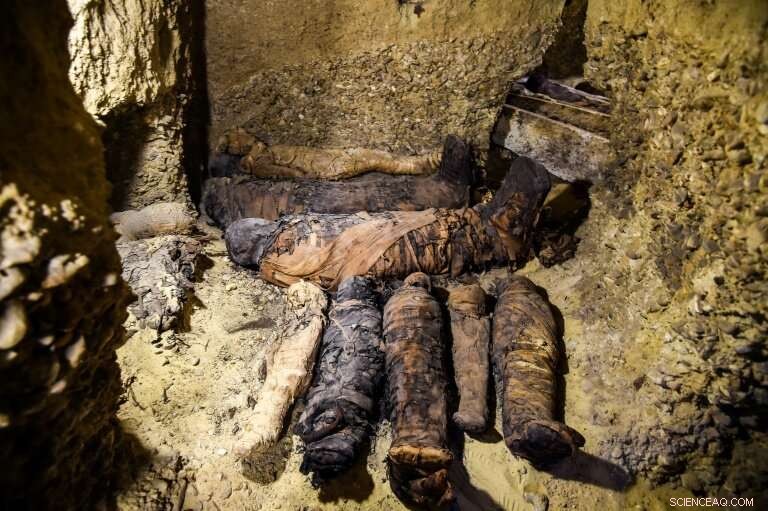 Discovery Channel Broadcasts Live Unveiling of 2,000-Year-Old Egyptian Sarcophagus