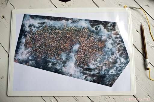 First Ancient Greek Shipwreck Now Open for Recreational Divers