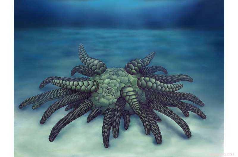 3D Reconstruction of Cthulhu Fossil Illuminates Ancient, Giant Relative of Modern Sea Cucumbers