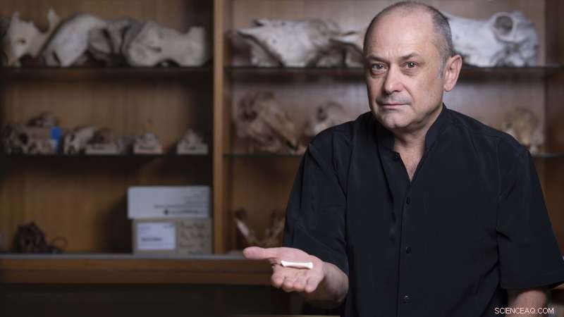 Discovery of Homo luzonensis: A New Early Human Species Unearthed in the Philippines