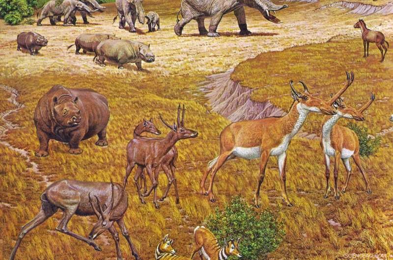 New Fossil Study Uncovers Texas  Ancient Wildlife: Elephants, Rhinos, Camels, and Alligators