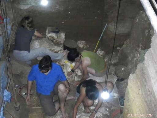 Filipino Researchers Discover New Human Species, Homo Luzonensis, in Callao Cave