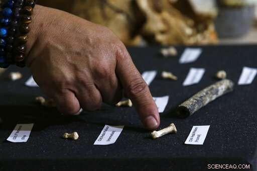 Filipino Researchers Discover New Human Species, Homo Luzonensis, in Callao Cave