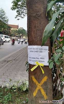 New Research Shows Social Media’s Strategic Role in Authoritarian Protests