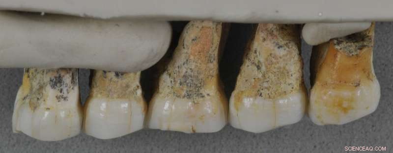 What Constitutes Sufficient Evidence to Define a New Human Species?