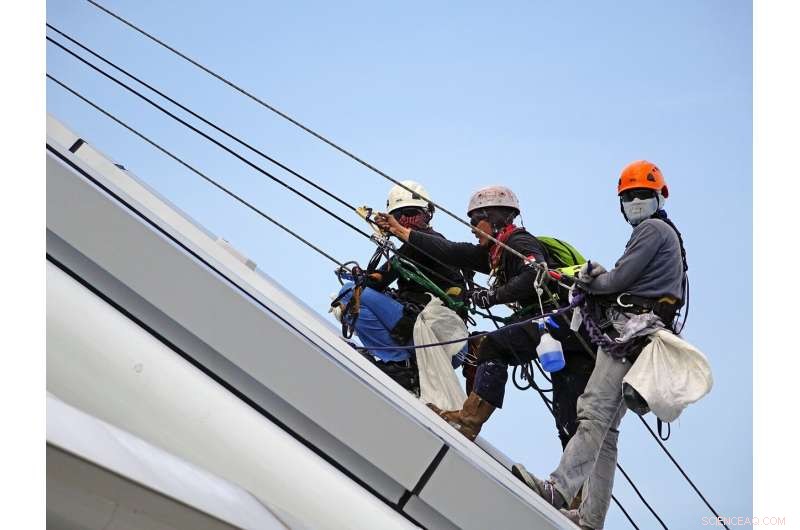 Research Reveals How Proactive Employees Drive Safer Workplaces