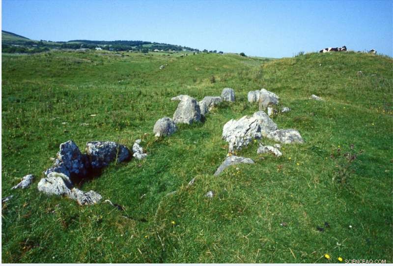 New Study Confirms Megalith Tombs Served as Family Graves in Europe’s Stone Age
