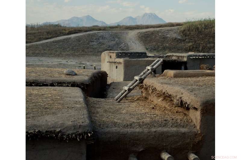 Archaeological Evidence Shows Shift from Hunting to Herding in Ancient Societies