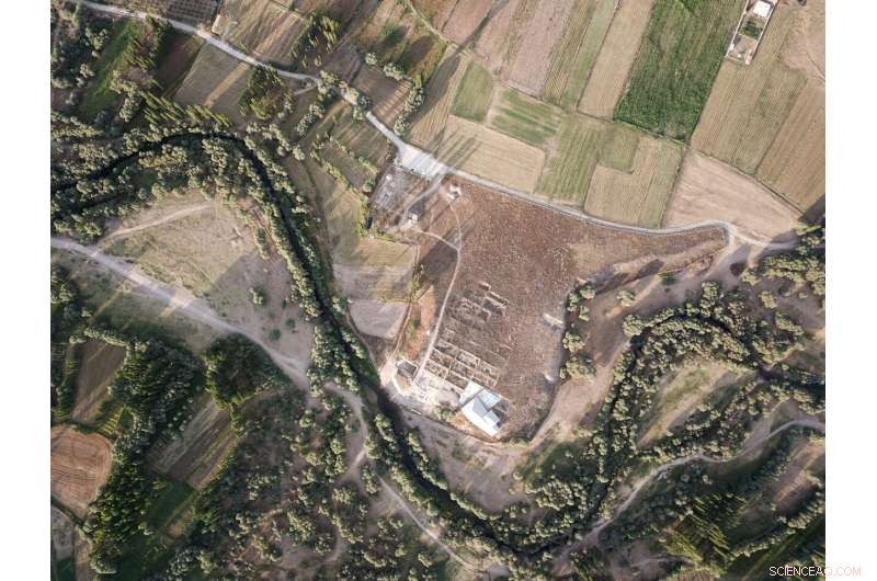 Archaeological Evidence Shows Shift from Hunting to Herding in Ancient Societies