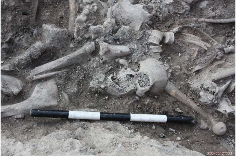 Crusades Rewritten: What DNA Reveals About 13th‑Century Crusaders