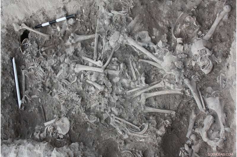 Crusades Rewritten: What DNA Reveals About 13th‑Century Crusaders