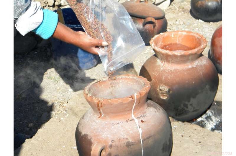 Stability Through Tradition: How a Steady Supply of Beer Sustained Ancient Peruvian Societies