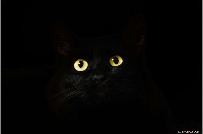 Tracing How Superstitions Spread Through Time and Society