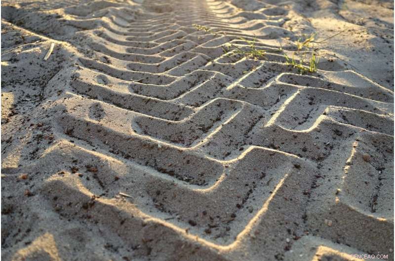 When Evidence Is Missing: How the Absence of Proof Can Reveal Hidden Truths