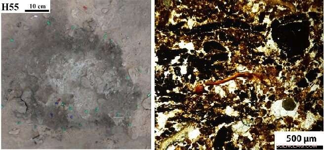 New Study Uses Advanced Analysis of Ancient Hearths to Uncover Neanderthal Settlement Patterns