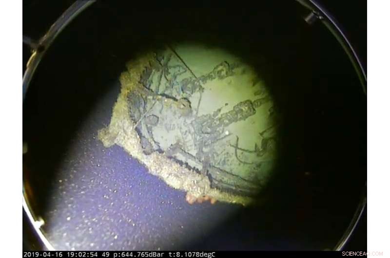 SS Iron Crown Unearthed: New Insight into WWII’s Lost Australian Freighter