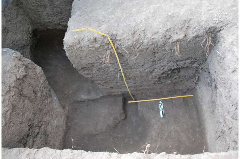 New Study Reveals Amazonian Settlements 2,500 Years Older Than Thought