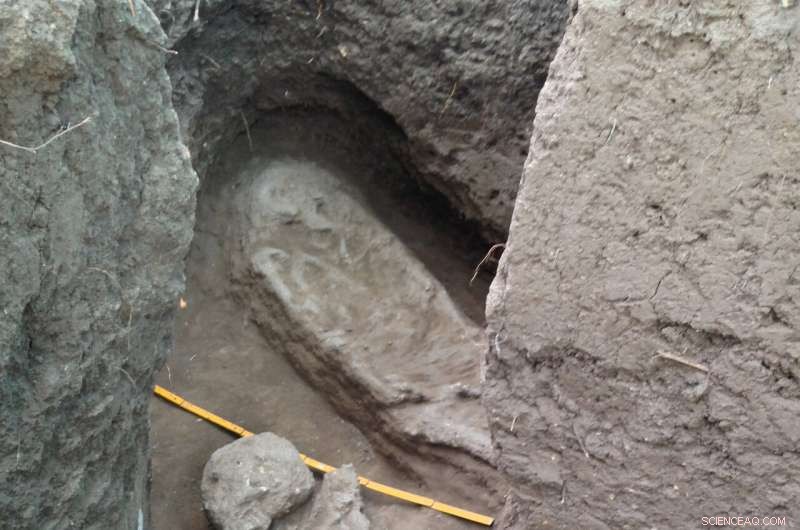 New Study Reveals Amazonian Settlements 2,500 Years Older Than Thought