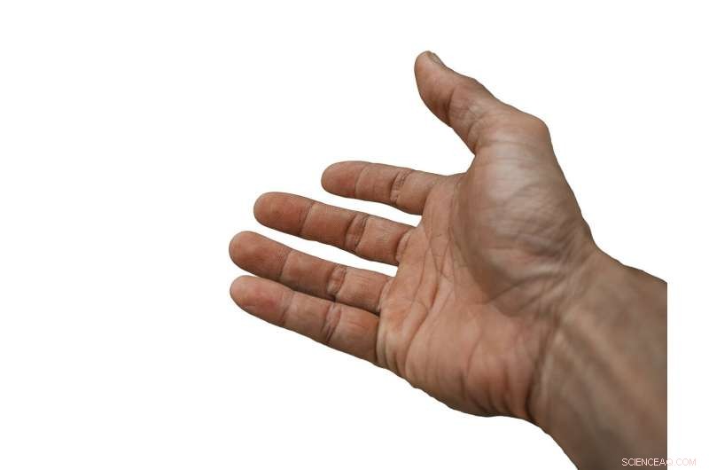 How Gestures and Visual Animations Uncover the Cognitive Roots of Linguistic Meaning