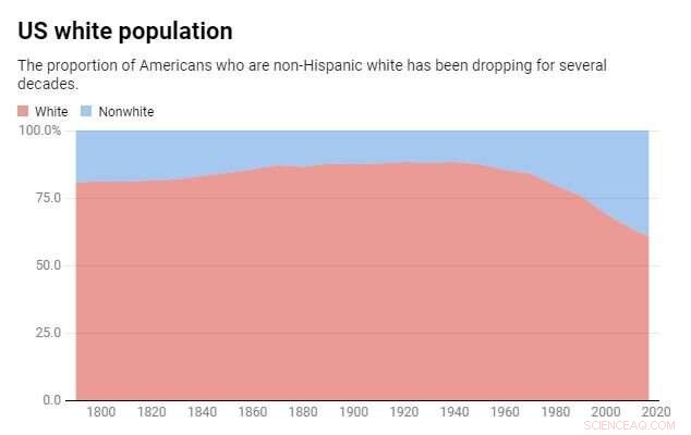 U.S. Demographic Shift: White Majority Set to Fall Below 50% in the Next 25 Years