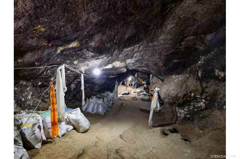 First Evidence of Denisovan Hominins on the Tibetan Plateau Uncovered