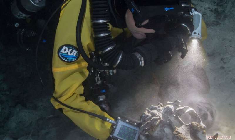 New Findings: Mexican Cave Reveals South American Animal Bones, Illuminating the Great American Biotic Interchange