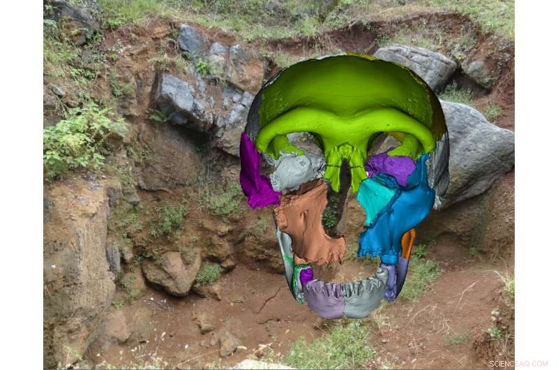 First Middle Pleistocene Human Skull Discovered: Insights into Early Asian Human Variation and Continuity
