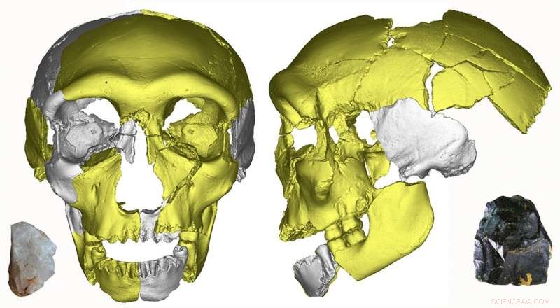 First Middle Pleistocene Human Skull Discovered: Insights into Early Asian Human Variation and Continuity