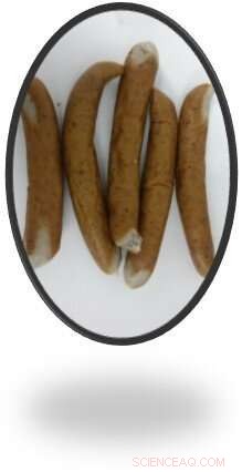 Scientists Advocate for Maggots as Sustainable Protein Source