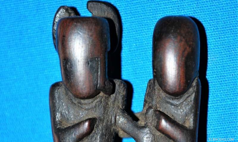 Ancient Ritual Bundle Reveals Use of Multiple Psychotropic Plants