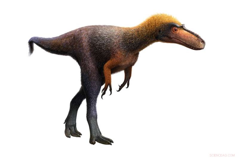 Tiny Tyrannosauroid Unearthed: 3‑Foot‑High Relative of T. rex Found in New Mexico