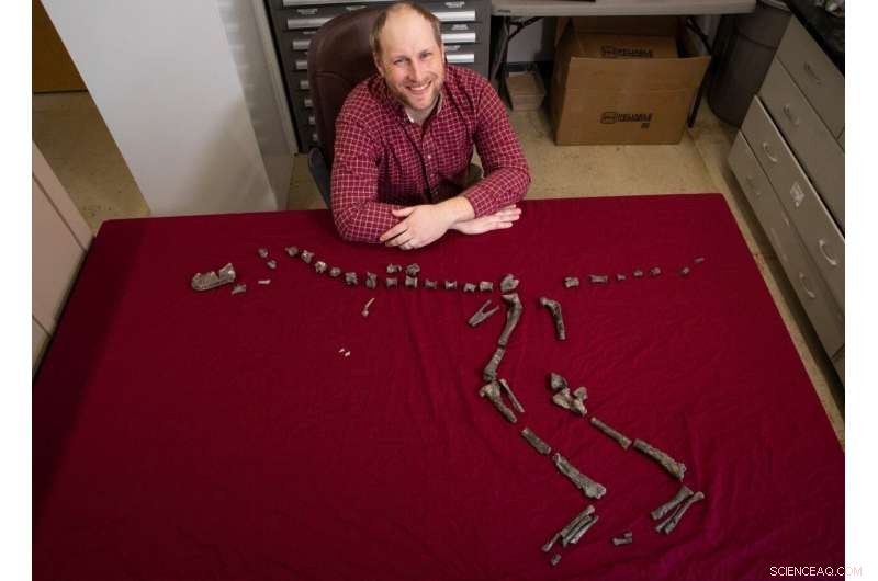 Tiny Tyrannosauroid Unearthed: 3‑Foot‑High Relative of T. rex Found in New Mexico