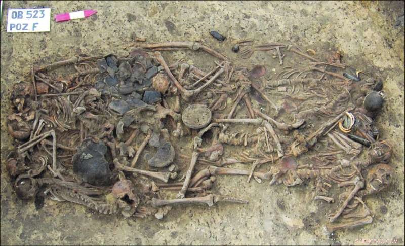 DNA Study of a Neolithic Mass Grave Reveals New Insights into Poland s Ancient Past