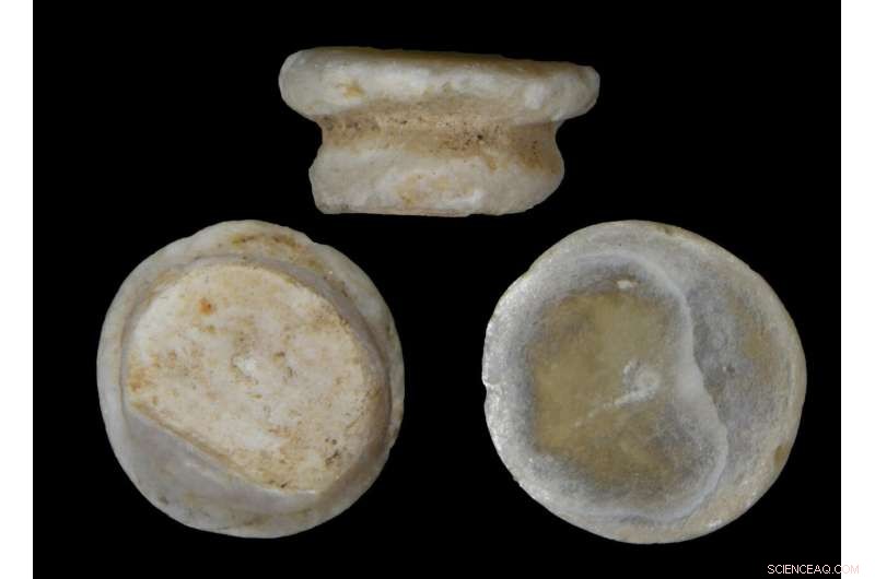 Freshwater Mussel Shells: The Go-To Crafting Material for Prehistoric European Artisans