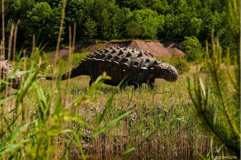 How Dinosaur Remains Become Fossils: The Science of Fossilization