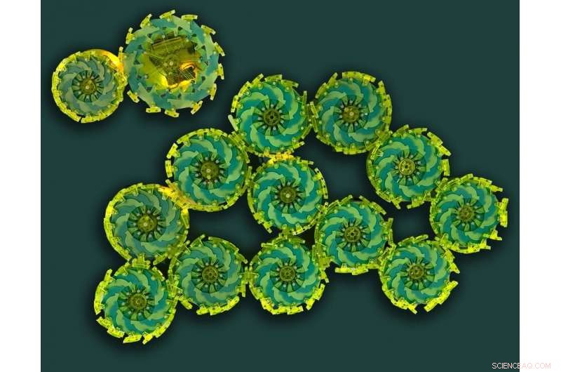 Science Images: Capturing Curiosity Beyond Words