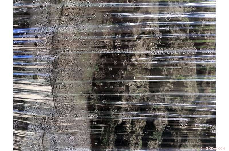 Science Images: Capturing Curiosity Beyond Words