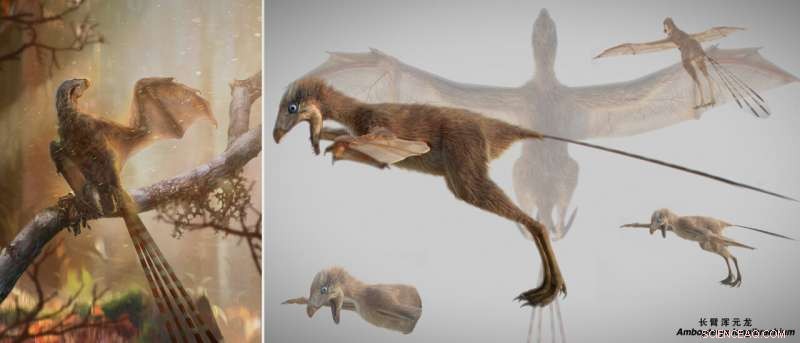 New Jurassic Theropod Dinosaur Sheds Light on How Flight Evolved in Dinosaurs