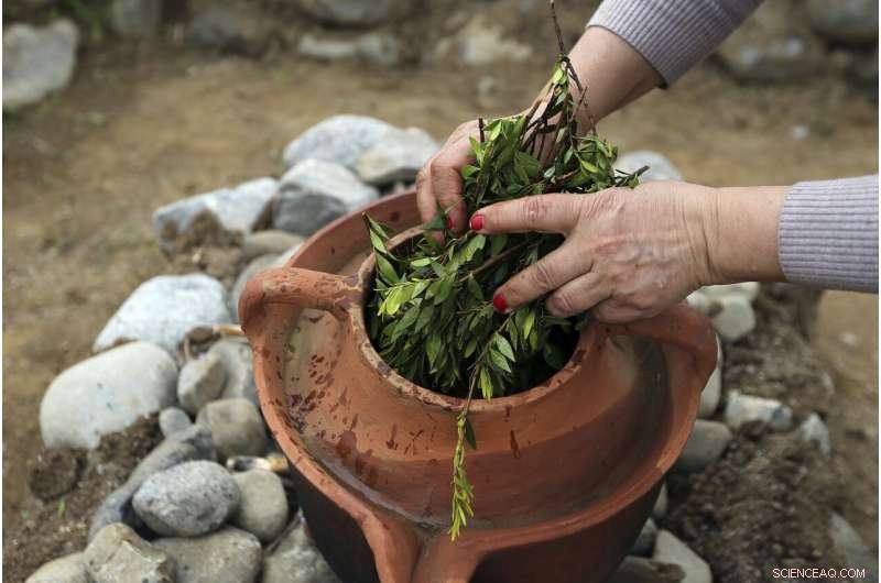 Cyprus Highlights Ancient Perfume Heritage at New Museum