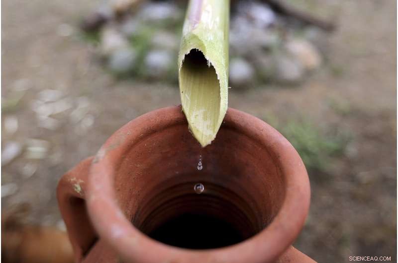 Cyprus Highlights Ancient Perfume Heritage at New Museum
