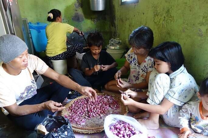 Street Food Vendors: Adapting to Urban Change and Societal Demands