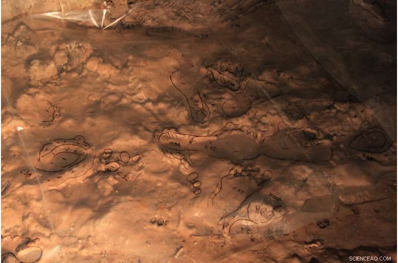 Crawling Traces in Italian Cave Reveal Insights into Ancient Human Social Behavior