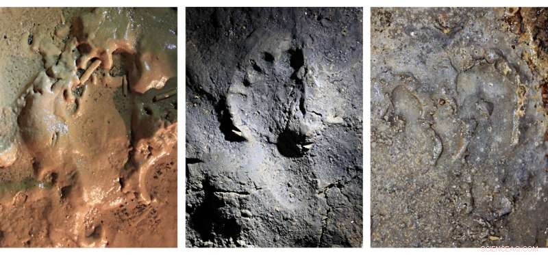 Crawling Traces in Italian Cave Reveal Insights into Ancient Human Social Behavior