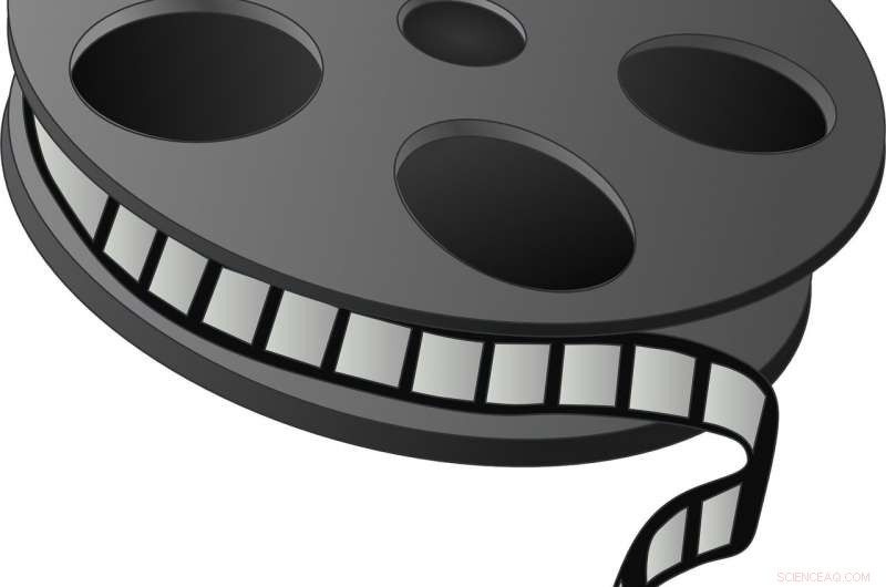 Does Piracy Amplify or Diminish Online Word‑of‑Mouth for Film Releases?