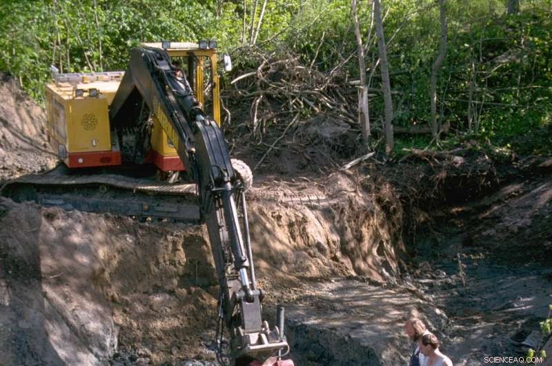 Scandinavia s Earliest Human DNA Uncovered in Ancient Chewing Gum